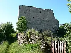 Reste der Burg Vaudémont