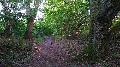 Margarethenweg an der Nordgrenze des FFH-Gebiets