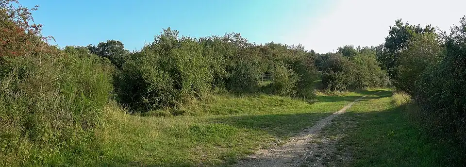 Wanderweg am Westrand des FFH-Gebiets