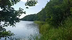 Am Nordufer des Langsees im FFH-Teilgebiet Neuberend