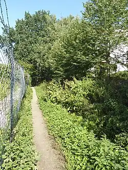 Pfad entlang dem Ochsengraben, Blick nach Nordosten (2012)