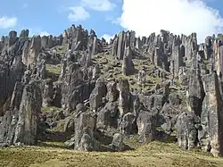 Santuario Nacional de Huayllay