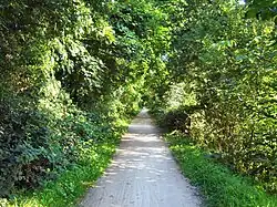 Ehemalige Bahnstrecke Worms–Gundheim