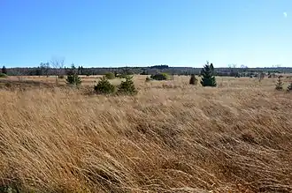 Polleurvenn im Herbst