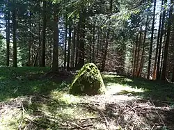 Menhir oberhalb Falera