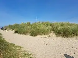 Dünen am Strand Schillig