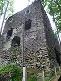 Burgruine Falkenstein: Söller