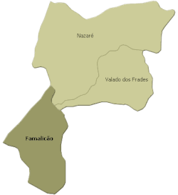 Lage der Gemeinde Famalicão im Kreis