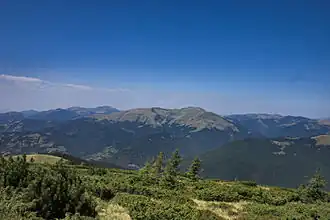 Munții Maramureșului mit Blick zum Vârful Farcău