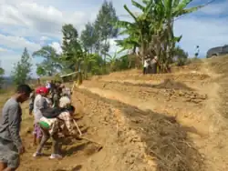 Bauern legen in Locotoi ein Terrassenfeld an