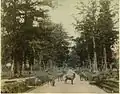 Nara-Park, Fotografie von Adolfo Farsari (1841–1898)