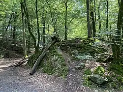 Felsböschungen am Zusammenfluss von Ostringhauser Bach u. Paulssiefen in den Sengbach