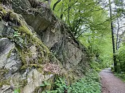 Felssteilhang an der Wupper