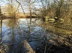 Beibach mit Teich und Feuchtflächen ⊙48.8053279.339372