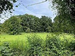 Landschaftsmosaik nördlich der Bruchhauser Straße