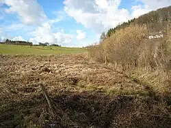 Feuchtwiese im Winter 2017