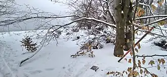 Aufnahme vom Februar 2021