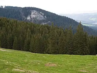 Blick von der Alm Rusinowa Polana