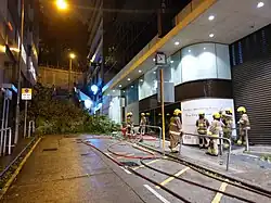 Blick gegen Süden – Taifunschäden, 2018