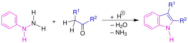Übersicht der Fischer-Indol-Synthese