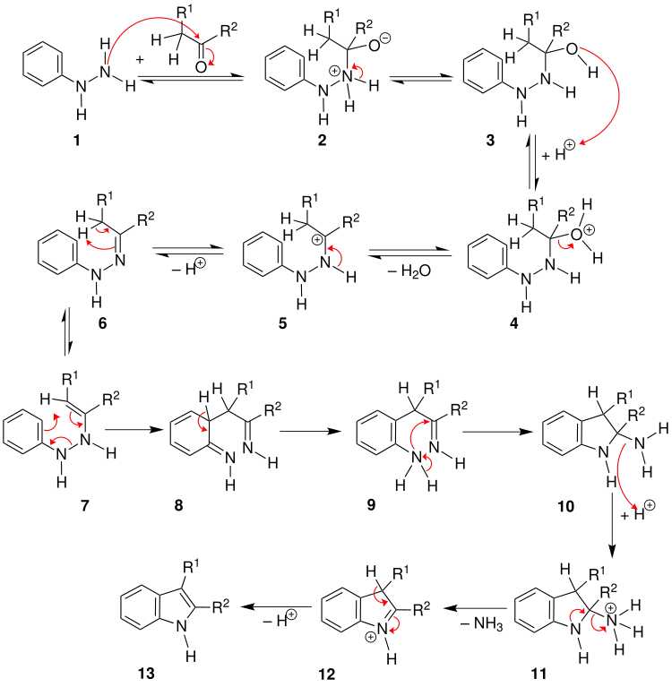 Mechanismus der Fischer-Indol-Synthese