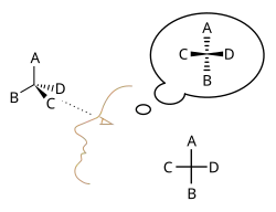 Konstruktion der Fischer-Projektion