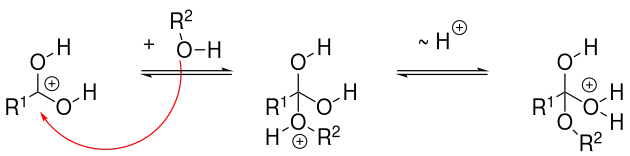 Mechanismus 2 Veresterung
