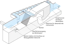Schematische Ansicht einer Bottom-Gallery, einer Spülrinne und eines Beckenpasses an einem Wasserkraftwerk.