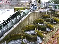 Wasserkraftschnecke am Wehr von Schloss Laer (neben Fischpass) Leistung ca. 15&nbsp;kW