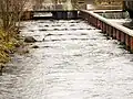 Fischtreppe am Wehr Gresse Bild 2