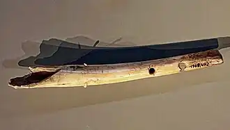 Flöte, ca. 13.000 v.&nbsp;Chr.