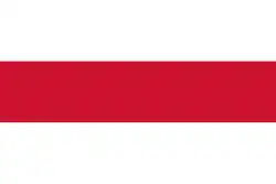 Flagge des Ortes Brielle