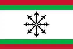 Flagge des Ortes Oostflakkee