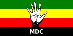 Flagge des MDC
