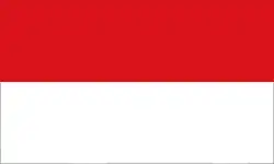 Hissflagge ohne Wappen