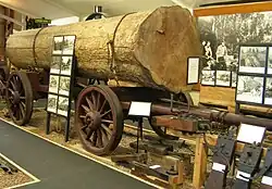 Transportwagen mit Kauristamm-Abschnitt