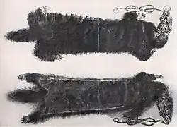 Vorder- und Rückseite