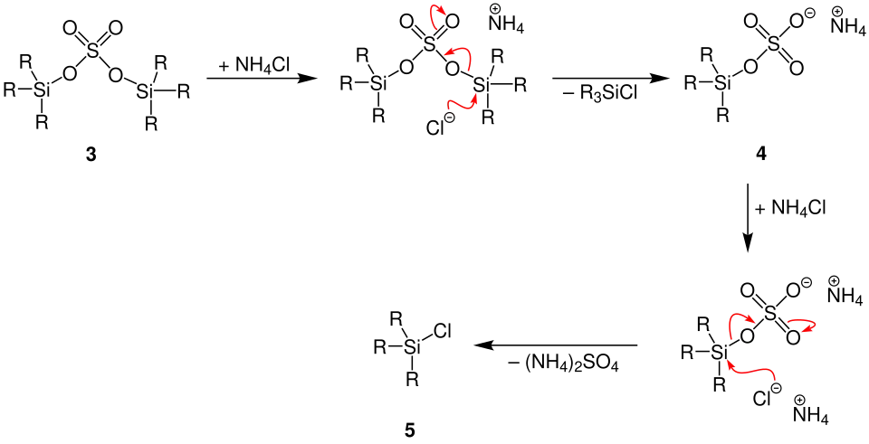 Flood-Reaktion Mechanismus2