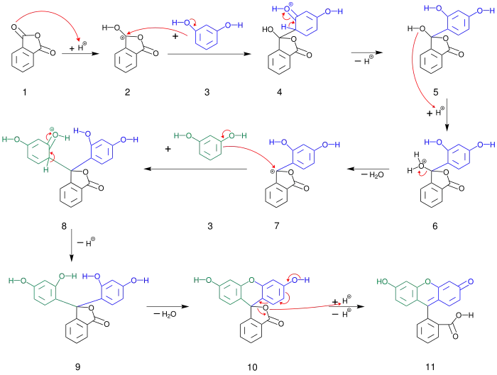 Mechanismus der Fluoresceinsynthese