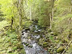 Vor der Trinkwassertalsperre