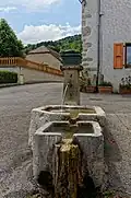 Brunnen und Viehtränke