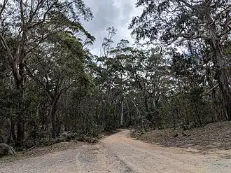 Forbes Creek Road im Nationalpark