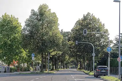 Südlich der Züricher Straße