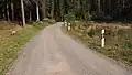 Forststraße bei Friedebach (ehemalige L 1107)