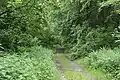Forstweg im Seegut-Gehölz