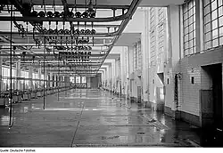 Eine moderne Schlachthalle