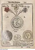 Drei „Blumen“ entspringen dem hermetischen Ei, in dem der Ouroboros liegt: die rote Blume des Goldes, die blaue der Weisheit und die weiße des Silbers. Aus Hieronymus Reussner: Pandora (1582)