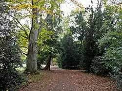 Englischer Landschaftspark