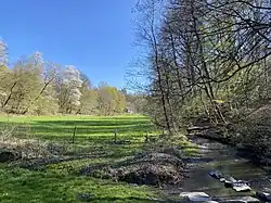 Frühling am Eifgenbach
