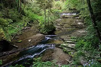 Das gestufte Bachbett im oberen Teil der Schlucht